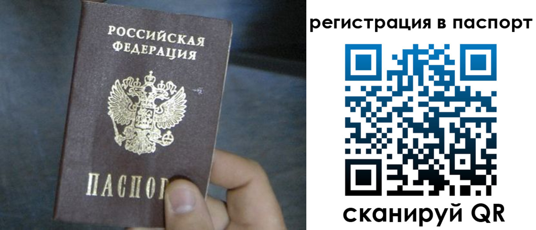 прописка 2025 в Шахунье